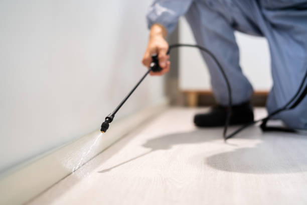 Licensed Termite Control service in Nitro, WV - Nex Pest Control