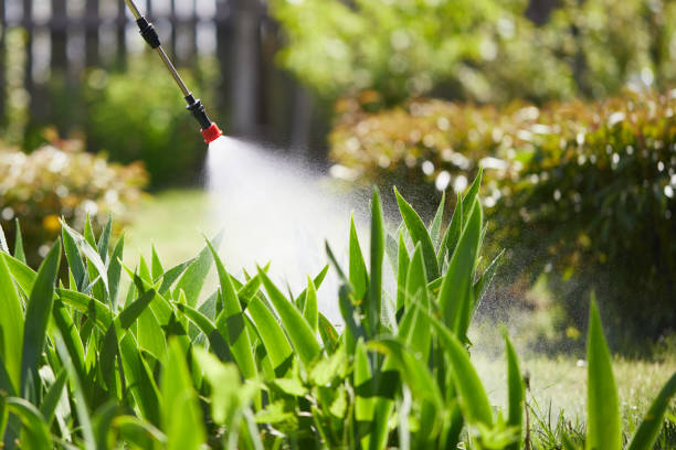 24/7 Emergency Termite Control experts in Nitro, WV