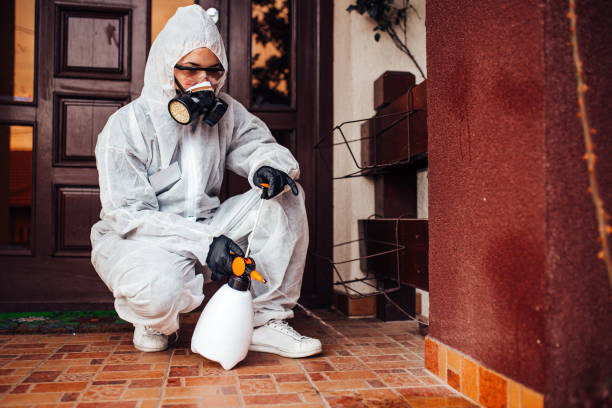 Reliable Termite Control contractor in Nitro, WV by Nex Pest Control