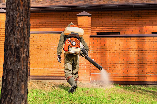 Top rated local Termite Control specialists in Nitro, WV